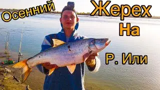 ОСЕННИЙ ЖЕРЕХ Р.ИЛИ . МОЙ ТРОФЕЙ!!!!!! РЫБАЛКА НА СПИННИНГ .