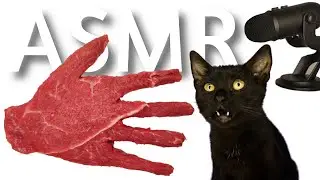 CAT EATING MEAT ASMR