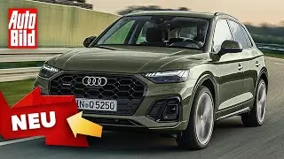 Audi Q5 (2020): Facelift - Neuvorstellung - SUV - Marktstart