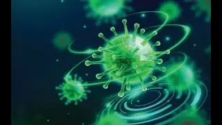 Daniel Jafferis - Session IV: Quantum gravity from the inside