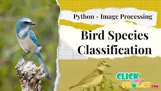 Python Image Processing Project - Bird Species Classification - ClickMyProject