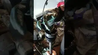 Что делать если распался трипоид (внутрений шрус)
