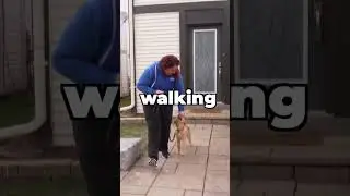 TEACH Your Dog To Walk Before TAKING Them For A Walk