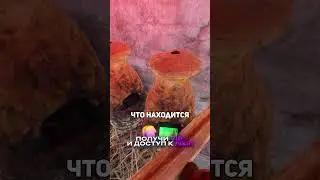 Ты не умеешь прятать лут в RUST?!  