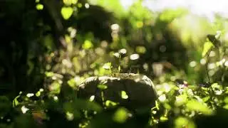 No Copyright Video, Background, Green Screen, Motion Graphics, Animated Background, Copyright Free
