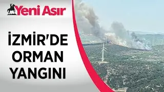 İzmir'de orman yangını... Havadan ve karadan müdahale ediliyor