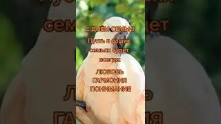 С Днём семьи, любви и верности! Позитивное поздравление