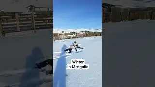 Mongolia