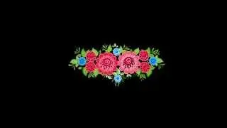 flower animation green screen free hd