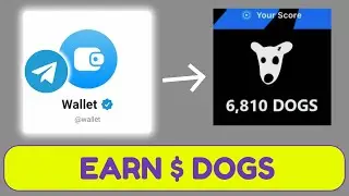 How to Earn Dogs in Telegram