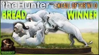 We Got A BEAUTIFUL Albino Lion To Complete An All Albino Breadwinner Multi Mount! Call of the wild