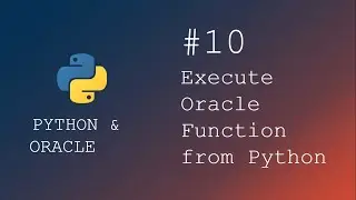 How to execute Oracle Function from Python Script | Python programming |