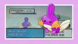 LIVE!!! 2nd Shiny Mudkip after 15,264 SRs!