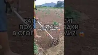 😱 Прополола свой огромный огород буквально за один вечер, просто чудо.
