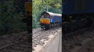 Class 66 with intermodal wagons #shorts #gardenrailway