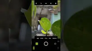 Mobile pro photography 📷 vivo v25 pro camera photoshoot #viral #shorts #short #photography #trend
