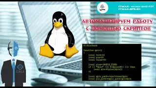 Как автоматизировать рутинные задачи в Linux? Используем bash