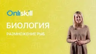 Биология 7 класс : Размножение рыб