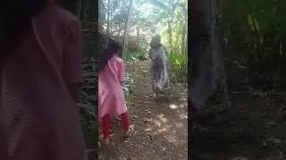 Tasya dari kebun