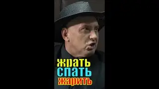 Спать, жрать и жарить. гднездилов. пес 4