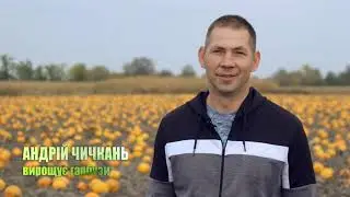 Вирощування гарбузів - перспективний аграрний бізнес в Україні