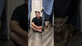 Найдите ошибку?
