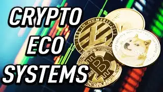 Make More Money By Understanding Crypto Ecosystems!