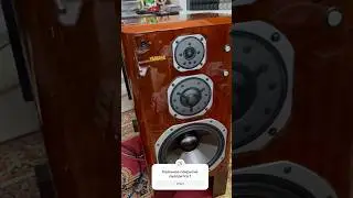 Yamaha ns-2000 Red Royal coat