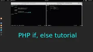 PHP if, else conditional statement tutorial