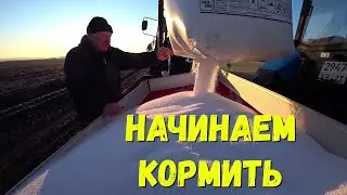 Когда начинать весеннюю подкормку Озимой Пшеницы!!!Сезон Весенне полевых работ 2021 ОТКРЫТ!!!