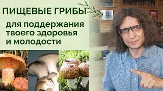 Пищевые грибы для поддержания твоего здоровья и молодости.