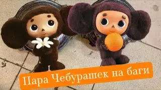 Пара Чебурашек на баги