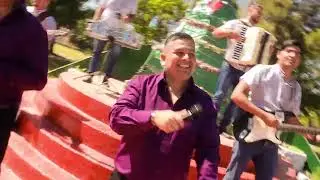 LOS TIGERS