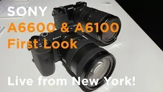 Sony A6600 & A6100 FIRST LOOK