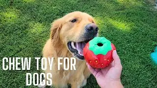 The truth about this chew toy | Would I recommend it?
