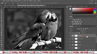 Adobe Photoshop Temel Eğitim Seti  2 Ayarlar Paneli