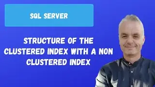 Structure of the clustered index with a non clustered index  | SQL server