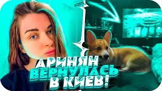 АРИНЯН ВЕРНУЛАСЬ В КИЕВ К СИМПЛУ! | АРИНЯН ПРИЛЕТЕЛА ОБРАТНО К СИМПЛУ! | BUSTER CHILL