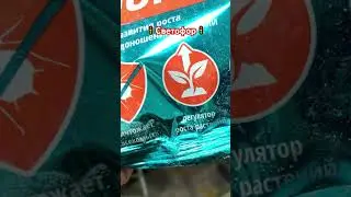 Ух Ты!🙈 Новинки для сада и огорода 😳💥 