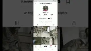 Подарки во время трансляций на ТикТок, которые вы можете перевести в деньги