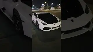 Lamborghini vs my Tesla Model S Performance Ludicrous+