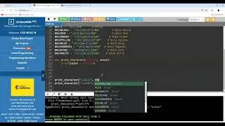Print Character with Default Parameter Values