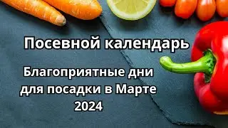 Посевной календарь: благоприятные дни для посадки в Марте 2024