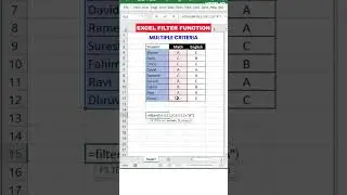 How to use Filter Function for Multiple Criteria | AND and OR value for Excel Filter Function