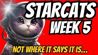 Starcat #9 Location- Week 5 Not where it says it is: Spine of Keres || Destiny 2