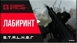 S.T.A.L.K.E.R : ЛАБИРИНТ - ВСЕ СЕКРЕТЫ ЛОКАЦИИ КОРДОН ( 2 СЕРИЯ )