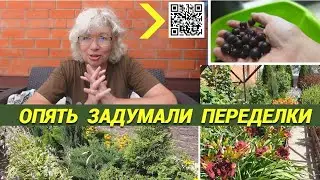 ✅Влог✅Новые планы по саду✅Делаю вино✅