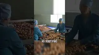 ЯЙЦА ЧРЕЗМЕРНО ПОДОРОЖАЛИ