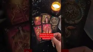 Ссылка на телеграм канал в закрепленном комментарии