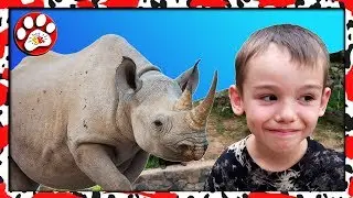 Khao Kheow the BEST THAILAND ZOO